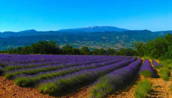 Article : 5 Bonnes Raisons de Partir en Week-End dans la Dr&ocirc;me